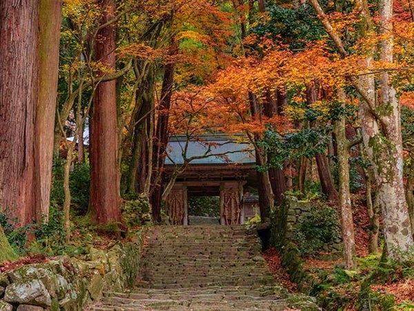 ■【滋賀県】\秋のワクワク詰めこみ旅/紅葉×体験×グルメぜ〜んぶ満喫♪滋賀の映える紅葉スポット<百済寺>&<教林坊ライトアップ>
手廻しロクロ陶芸体験&ラ・コリーナ近江八幡でお買い物★1